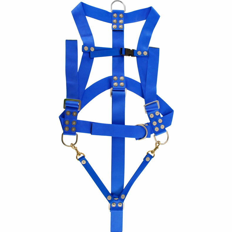 Divers Safety Harness